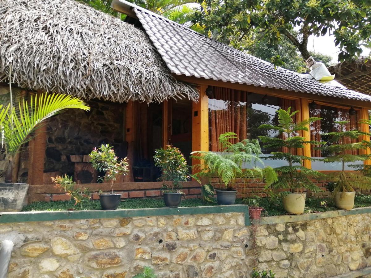 Mc Queen Homestay Ella Exterior photo
